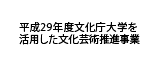 平成29年度文化庁大学を活用した文化芸術推進事業