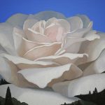 花の杜1805 P150（2018）
