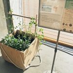 動く土 動く植物 動く鉢プロジェクト