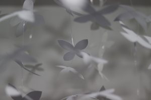 ２人展「shēng」作品画像
